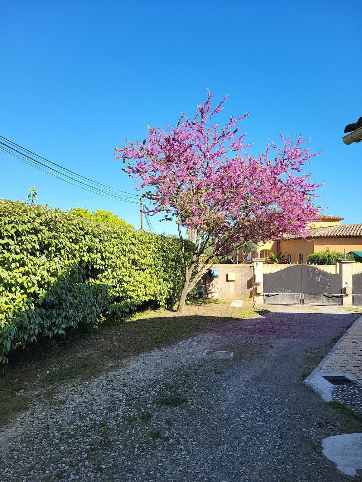 La Toscane Roquebrune-sur-Argens Exterior foto
